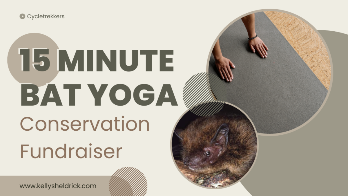 Bat-themed Yoga: Wildlife Fundraiser
